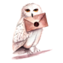 magicalowl.click